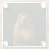 Black 4 Luxe Glass coaster, Fluffy Marmot ガラスコースター (裏面)