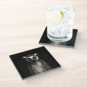 Black 4 Luxe Glass coaster, Gentle Lemur ガラスコースター (アングル)