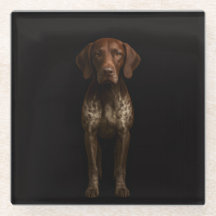 Black 4 Luxe Glass coaster, German Pointer