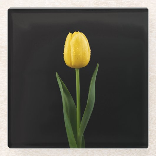 Black 4 Luxe Glass coaster, Golden Yellow Tulip ガラスコースター (正面)