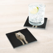 Black 4 Luxe Glass coaster, Ivory Arctic Wolf ガラスコースター (アングル)