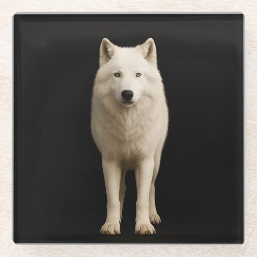 Black 4 Luxe Glass coaster, Ivory Arctic Wolf ガラスコースター (正面)