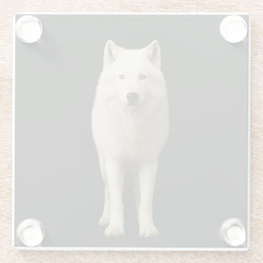 Black 4 Luxe Glass coaster, Ivory Arctic Wolf ガラスコースター (裏面)