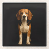 Black 4 Luxe Glass coaster, Kind Beagle ガラスコースター (正面)
