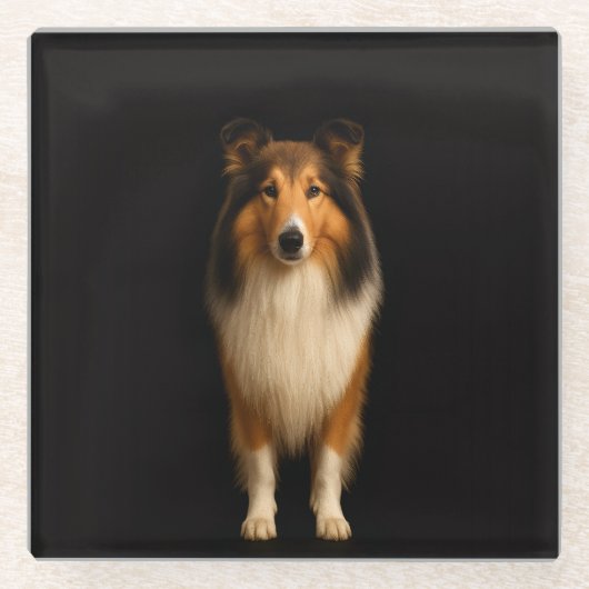 Black 4 Luxe Glass coaster, Loyal Collie Dog ガラスコースター (正面)