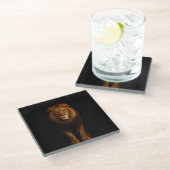 Black 4 Luxe Glass coaster, Majestic Lion ガラスコースター (アングル)