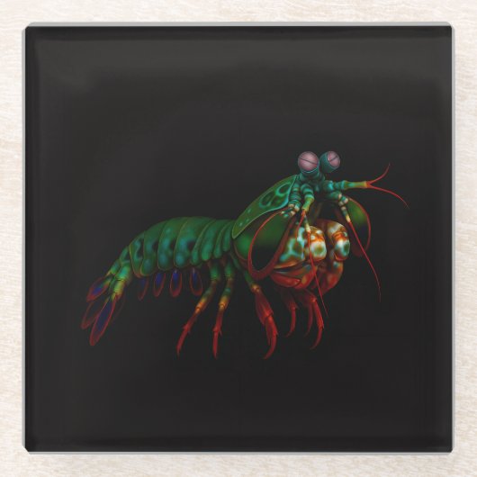 Black 4 Luxe Glass coaster, Mantis Shrimp ガラスコースター (正面)