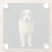 Black 4 Luxe Glass coaster, Mioritic Shepherd ガラスコースター (裏面)