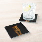 Black 4 Luxe Glass coaster, Noble Lioness ガラスコースター (アングル)