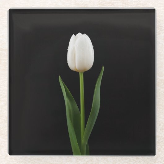 Black 4 Luxe Glass coaster, Pearl White Tulip ガラスコースター (正面)