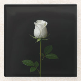 Black 4 Luxe Glass coaster, Pure White Rose ガラスコースター