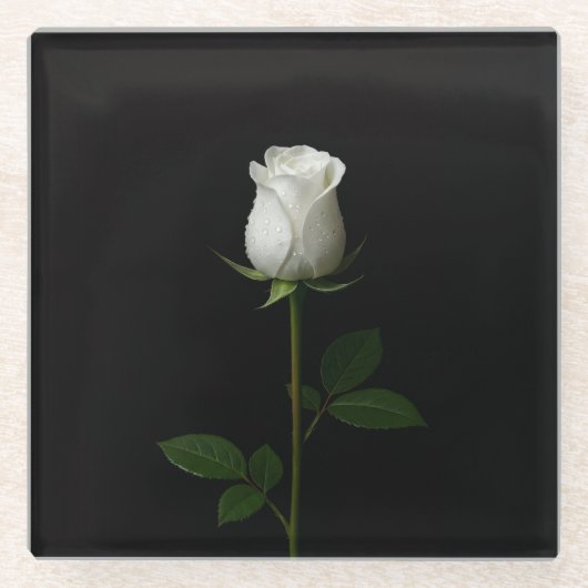 Black 4 Luxe Glass coaster, Pure White Rose ガラスコースター (正面)