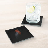 Black 4 Luxe Glass coaster, Reddish Egret ガラスコースター (アングル)
