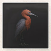 Black 4 Luxe Glass coaster, Reddish Egret ガラスコースター (正面)