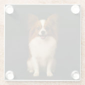 Black 4 Luxe Glass coaster, Refined Papillon ガラスコースター (裏面)