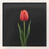 Black 4 Luxe Glass coaster, Ruby Red Tulip ガラスコースター (正面)