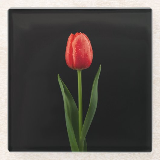 Black 4 Luxe Glass coaster, Ruby Red Tulip ガラスコースター (正面)