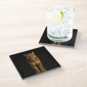 Black 4 Luxe Glass coaster, Silent Prime Puma ガラスコースター (アングル)
