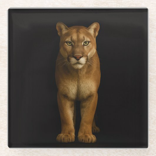 Black 4 Luxe Glass coaster, Silent Prime Puma ガラスコースター (正面)