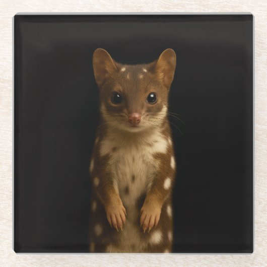 Black 4 Luxe Glass coaster, Sweet Quoll ガラスコースター (正面)