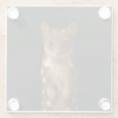 Black 4 Luxe Glass coaster, Sweet Quoll ガラスコースター (裏面)