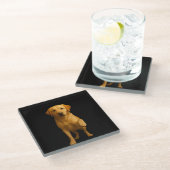 Black 4 Luxe Glass coaster, Tender Labrador ガラスコースター (アングル)