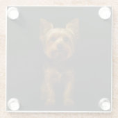 Black 4 Luxe Glass coaster, Yorkshire Terrier ガラスコースター (裏面)