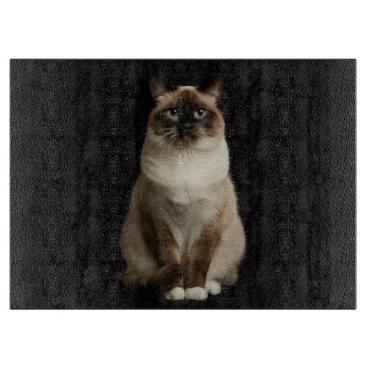 Black 4 Luxe Glass cutting board Birmanese Cat カッティングボード (正面)
