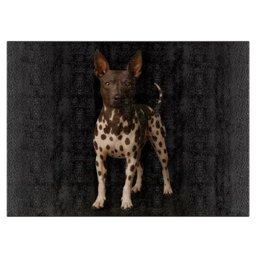 Black 4 Luxe Glass cutting board Hairless Terrier  カッティングボード (正面)
