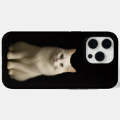 Black 4 Luxe iPhone 15 Pro Max, Turkish Angora Cat Case-Mate iPhoneケース (裏面 (横))