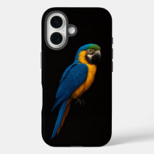 Black 4 Luxe iPhone 16 Mate, Blue Yellow Macaw