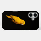 Black 4 Luxe iPhone 16 Mate, Golden Parakeet Case-Mate iPhoneケース (裏面 (横))