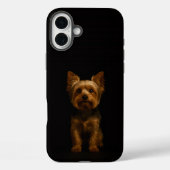 Black 4 Luxe iPhone 16 Plus, Yorkshire Terrier Case-Mate iPhoneケース (裏面)