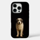 Black 4 Luxe iPhone 16 Pro, Mioritic Shepherd Case-Mate iPhoneケース (裏面)