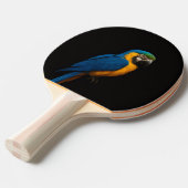 Black 4 Luxe ping pong paddle, Blue Yellow Macaw 卓球ラケット (正面アングル)