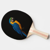 Black 4 Luxe ping pong paddle, Blue Yellow Macaw 卓球ラケット (横)