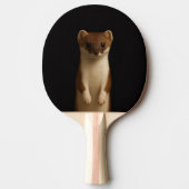 Black 4 Luxe ping pong paddle, Elegant Weasel 卓球ラケット (正面)