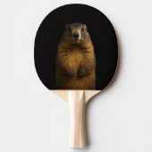 Black 4 Luxe ping pong paddle, Fluffy Marmot 卓球ラケット (正面)