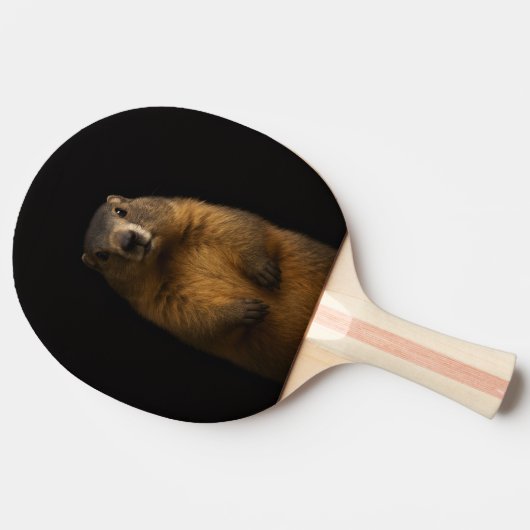 Black 4 Luxe ping pong paddle, Fluffy Marmot 卓球ラケット (横)