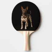 Black 4 Luxe ping pong paddle, Hairless Terrier 卓球ラケット (正面)