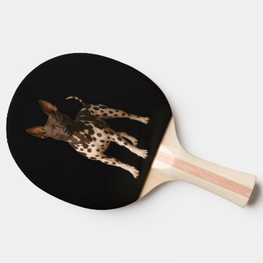 Black 4 Luxe ping pong paddle, Hairless Terrier 卓球ラケット (横)