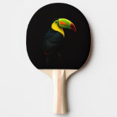 Black 4 Luxe ping pong paddle, Keel Billed Tucan 卓球ラケット (正面)
