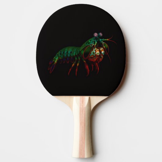 Black 4 Luxe ping pong paddle, Mantis Shrimp 卓球ラケット (裏面)