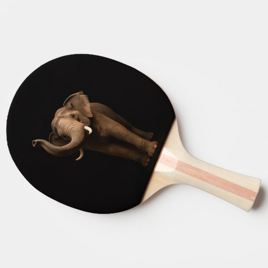 Black 4 Luxe ping pong paddle, Mighty Elephant 卓球ラケット (横)