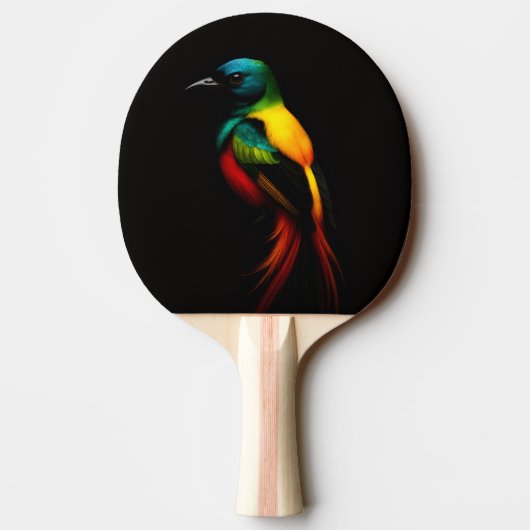 Black 4 Luxe ping pong paddle, Rainbow Bird 卓球ラケット (裏面)