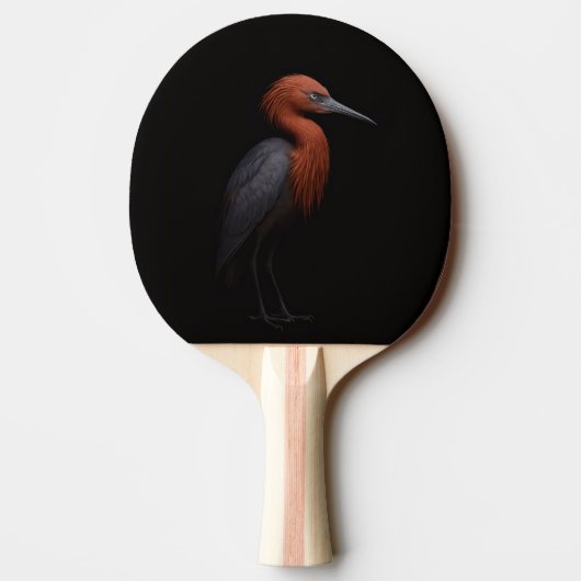 Black 4 Luxe ping pong paddle, Reddish Egret 卓球ラケット (裏面)