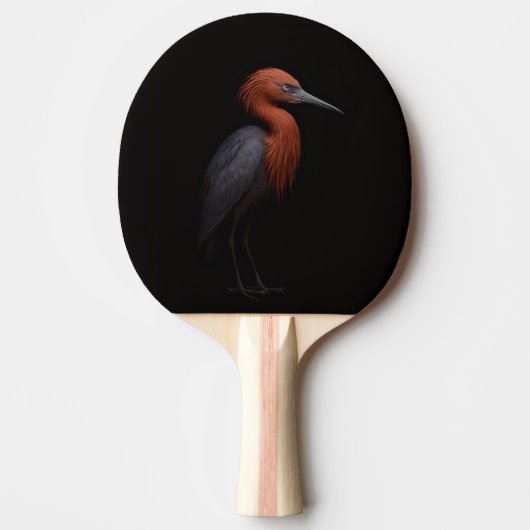 Black 4 Luxe ping pong paddle, Reddish Egret 卓球ラケット (正面)