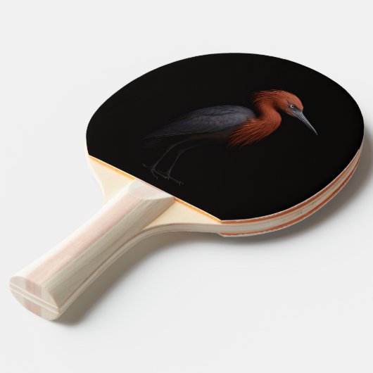 Black 4 Luxe ping pong paddle, Reddish Egret 卓球ラケット (正面アングル)