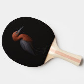 Black 4 Luxe ping pong paddle, Reddish Egret 卓球ラケット (横)