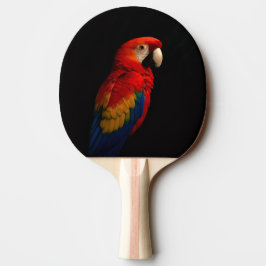 Black 4 Luxe ping pong paddle, Scarlet Parrot 卓球ラケット